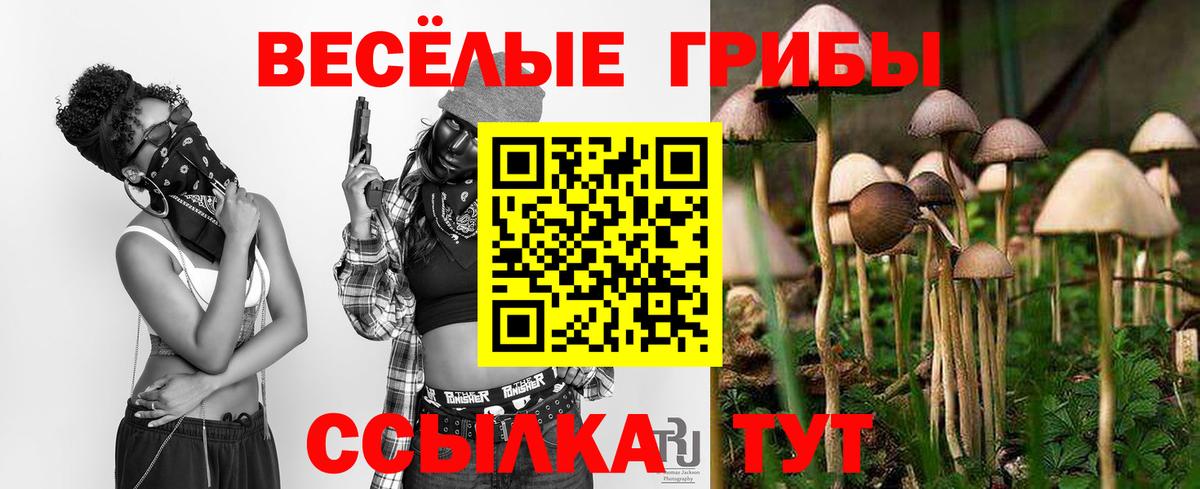 Ишимбай  Галлюциногенные грибы мицелий  Вход с VPN 
