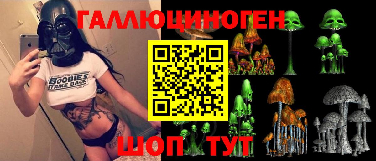Галлюциногенные грибы Psilocybe Ишимбай